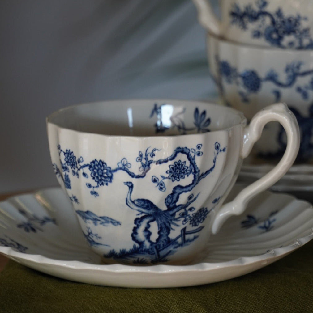 Ensemble de tasses "Birdie" en céramique anglaise Myott modèle Exotic Birds (lot de 4)