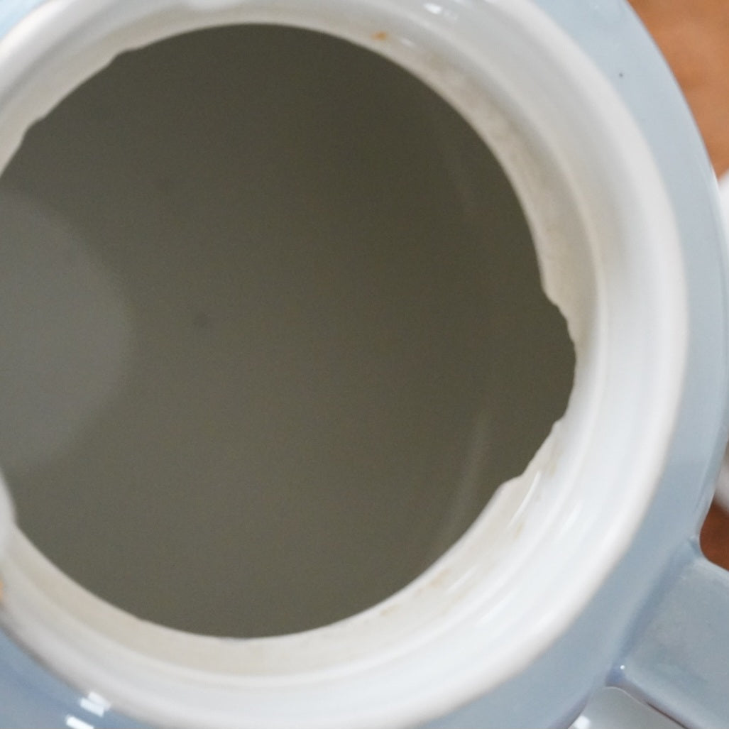 Théière "Thalie" et son filtre à thé en porcelaine de Limoges Aluminite Frugier bleu dégradé