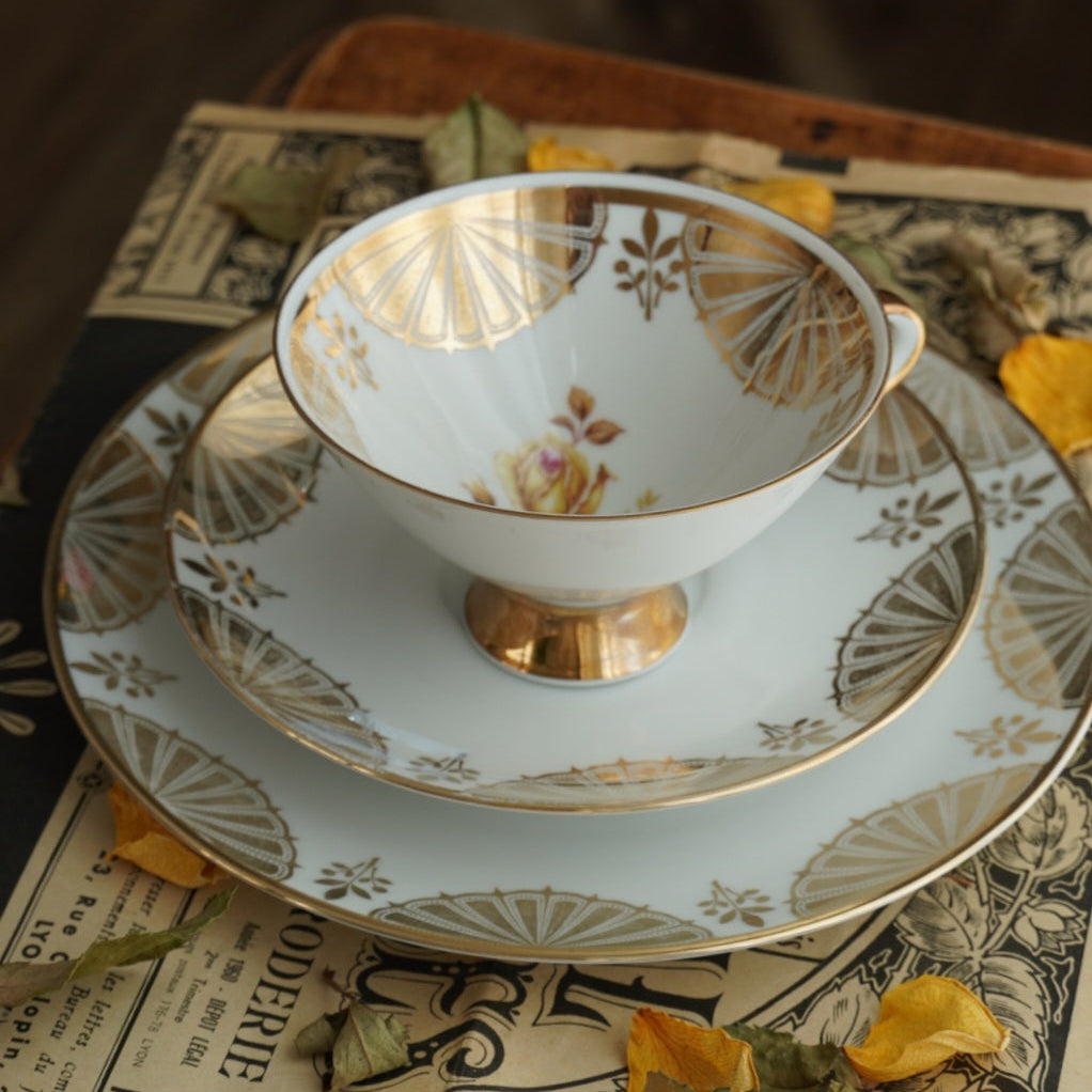 Tasse "Alfonsina" en porcelaine allemande sur pied fleurie et dorée et son assiette à gâteau Winterling Marktleuthen bavaria