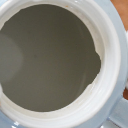 Théière "Thalie" et son filtre à thé en porcelaine de Limoges Aluminite Frugier bleu dégradé