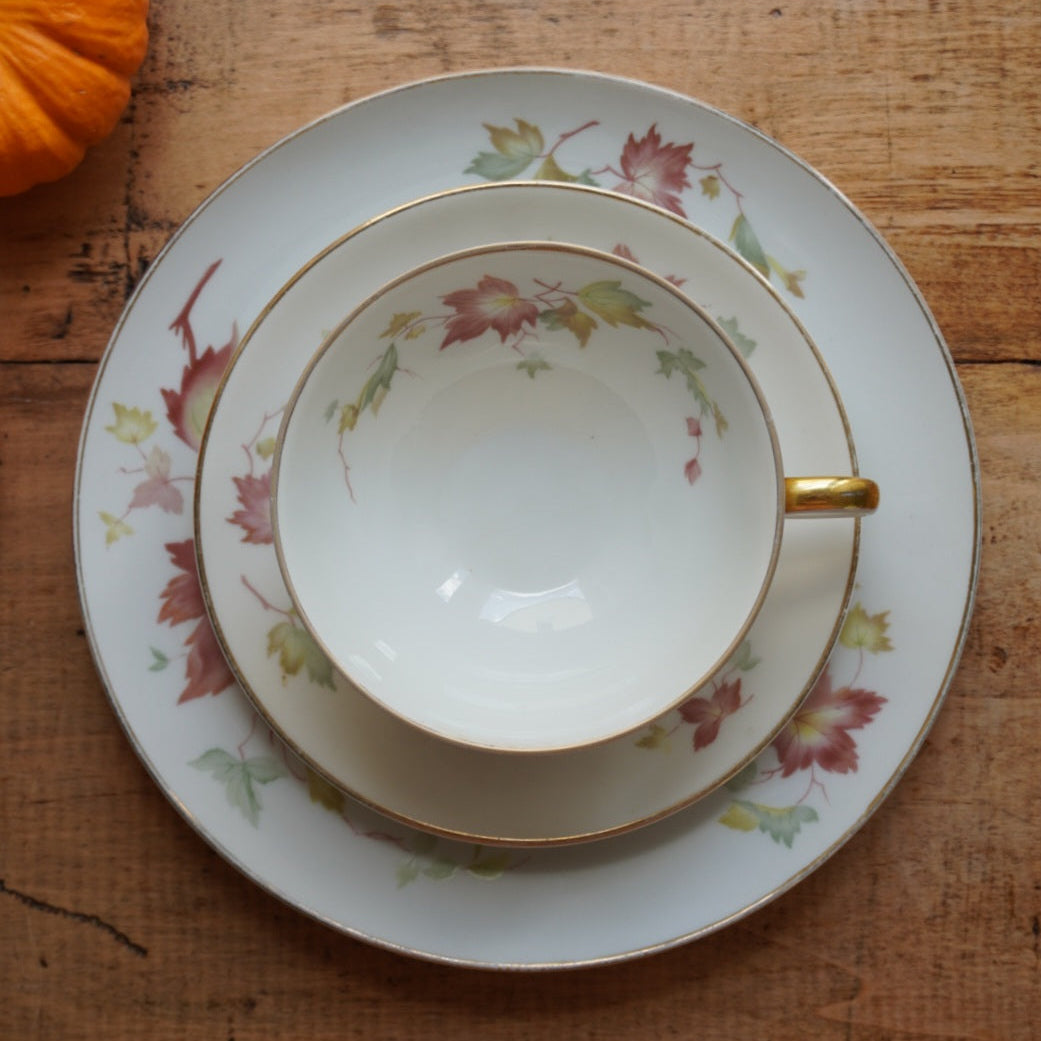 Tasse "Gisela" et son assiette à gâteau en porcelaine allemande bavaria aux motifs d'automne et dorée Hutschenreuther