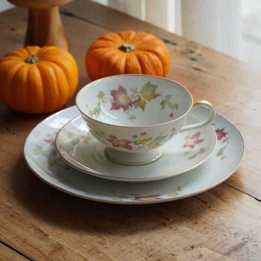 Tasse "Gisela" et son assiette à gâteau en porcelaine allemande bavaria aux motifs d'automne et dorée Hutschenreuther