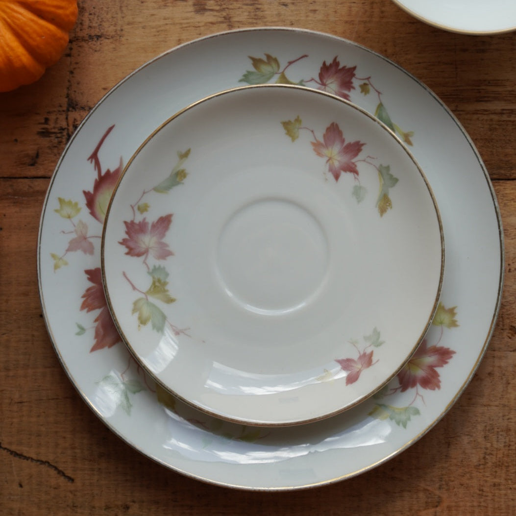 Tasse "Gisela" et son assiette à gâteau en porcelaine allemande bavaria aux motifs d'automne et dorée Hutschenreuther