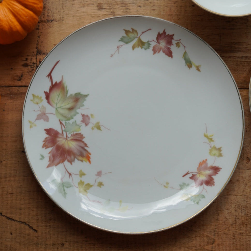 Tasse "Gisela" et son assiette à gâteau en porcelaine allemande bavaria aux motifs d'automne et dorée Hutschenreuther