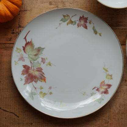 Tasse "Gisela" et son assiette à gâteau en porcelaine allemande bavaria aux motifs d'automne et dorée Hutschenreuther