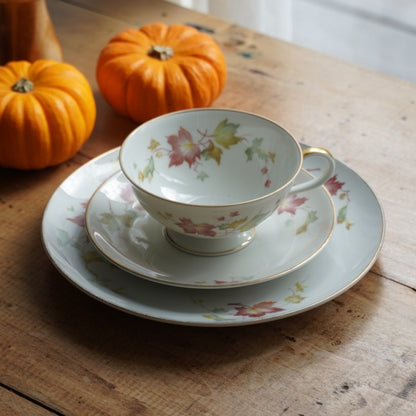 Tasse "Gisela" et son assiette à gâteau en porcelaine allemande bavaria aux motifs d'automne et dorée Hutschenreuther