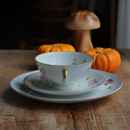 Tasse "Gisela" et son assiette à gâteau en porcelaine allemande bavaria aux motifs d'automne et dorée Hutschenreuther