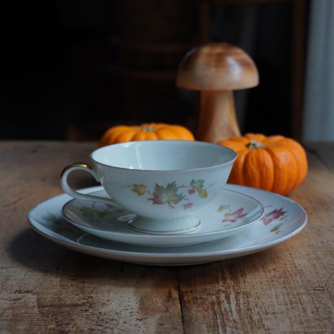 Tasse "Gisela" et son assiette à gâteau en porcelaine allemande bavaria aux motifs d'automne et dorée Hutschenreuther