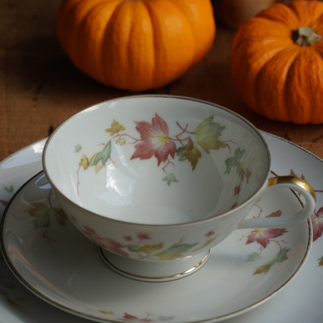 Tasse "Gisela" et son assiette à gâteau en porcelaine allemande bavaria aux motifs d'automne et dorée Hutschenreuther