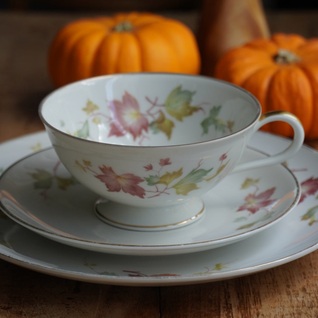 Tasse "Gisela" et son assiette à gâteau en porcelaine allemande bavaria aux motifs d'automne et dorée Hutschenreuther