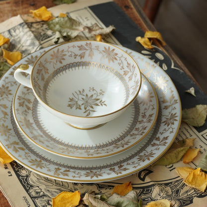 Tasse "Erna" en porcelaine allemande sur pied dorée et son assiette à gâteau Johann Haviland Bavaria