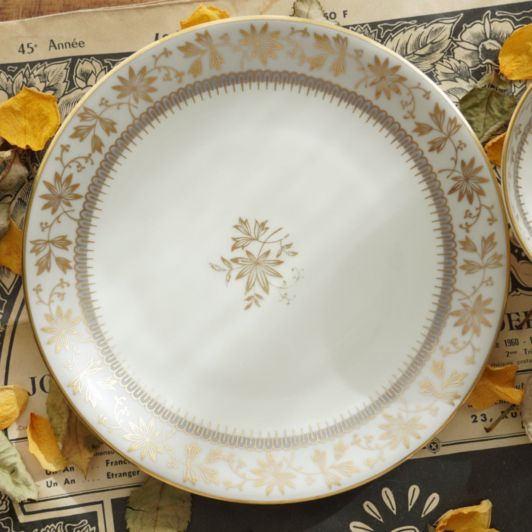 Tasse "Erna" en porcelaine allemande sur pied dorée et son assiette à gâteau Johann Haviland Bavaria