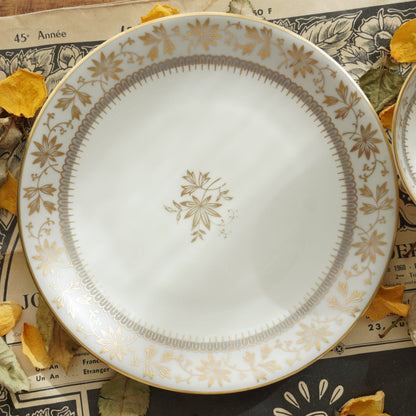 Tasse "Erna" en porcelaine allemande sur pied dorée et son assiette à gâteau Johann Haviland Bavaria