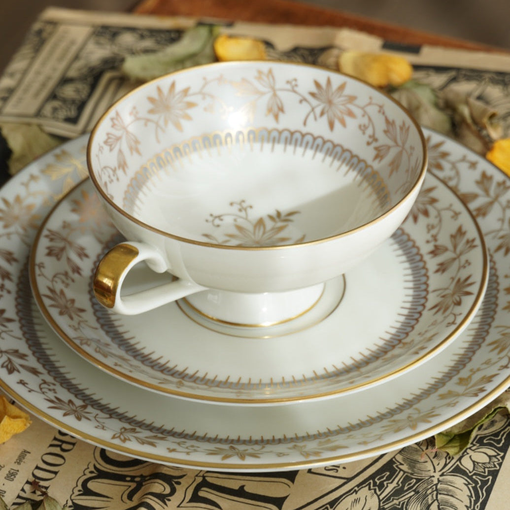 Tasse "Erna" en porcelaine allemande sur pied dorée et son assiette à gâteau Johann Haviland Bavaria