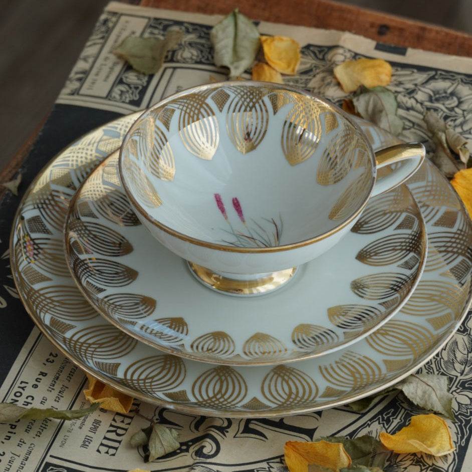 Tasse "Anina" en porcelaine allemande sur pied fleurie et dorée et son assiette à gâteau Bavaria Qualitäts-Porzellan